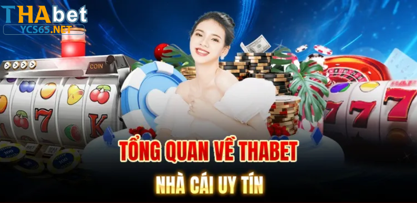 Đánh giá thực tế từ người dùng về YCS65 2025
