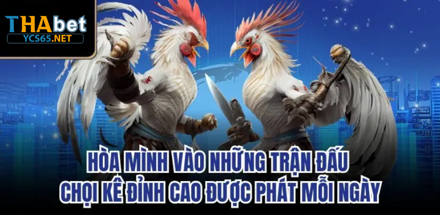 Dịch vụ chăm sóc khách hàng Thabet GA28