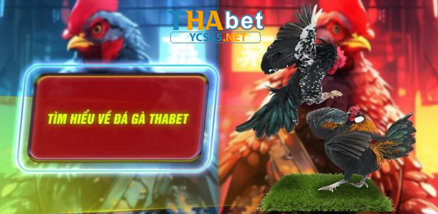 Hướng dẫn đăng ký & truy cập Thabet GA28