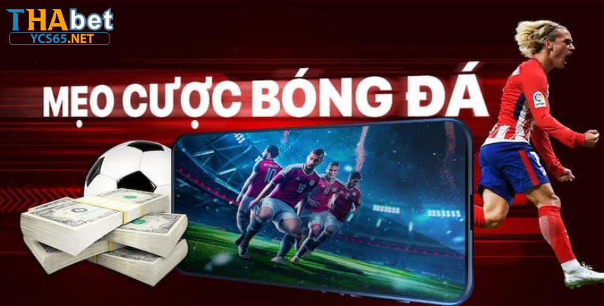 Soi kèo bóng đá Thabet – Điểm nổi bật khi trải nghiệm tại YCS65