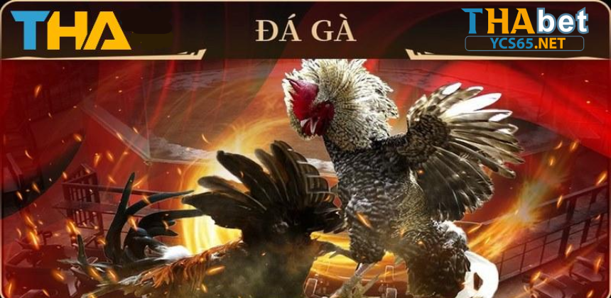 Trải nghiệm đá gà online tại GA28