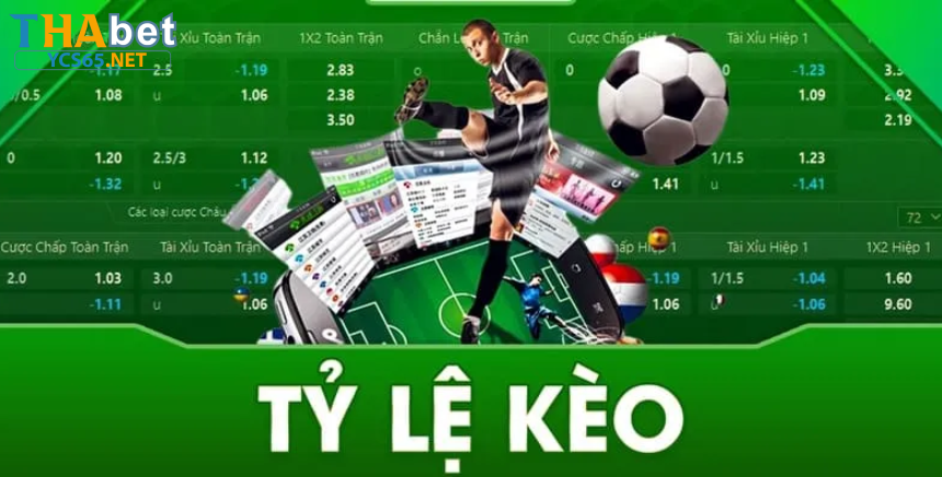 Vì sao nên chọn YCS65NET khi soi kèo bóng đá Thabet