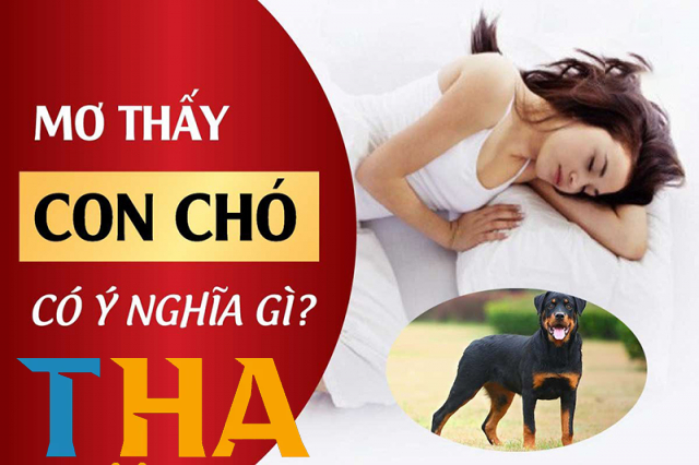 Mơ thấy Chó đánh đề như nào