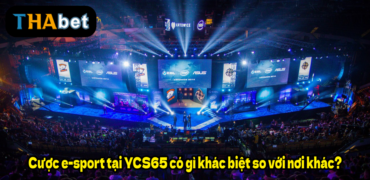 Cược e-sport tại YCS65 có gì khác biệt so với nơi khác?