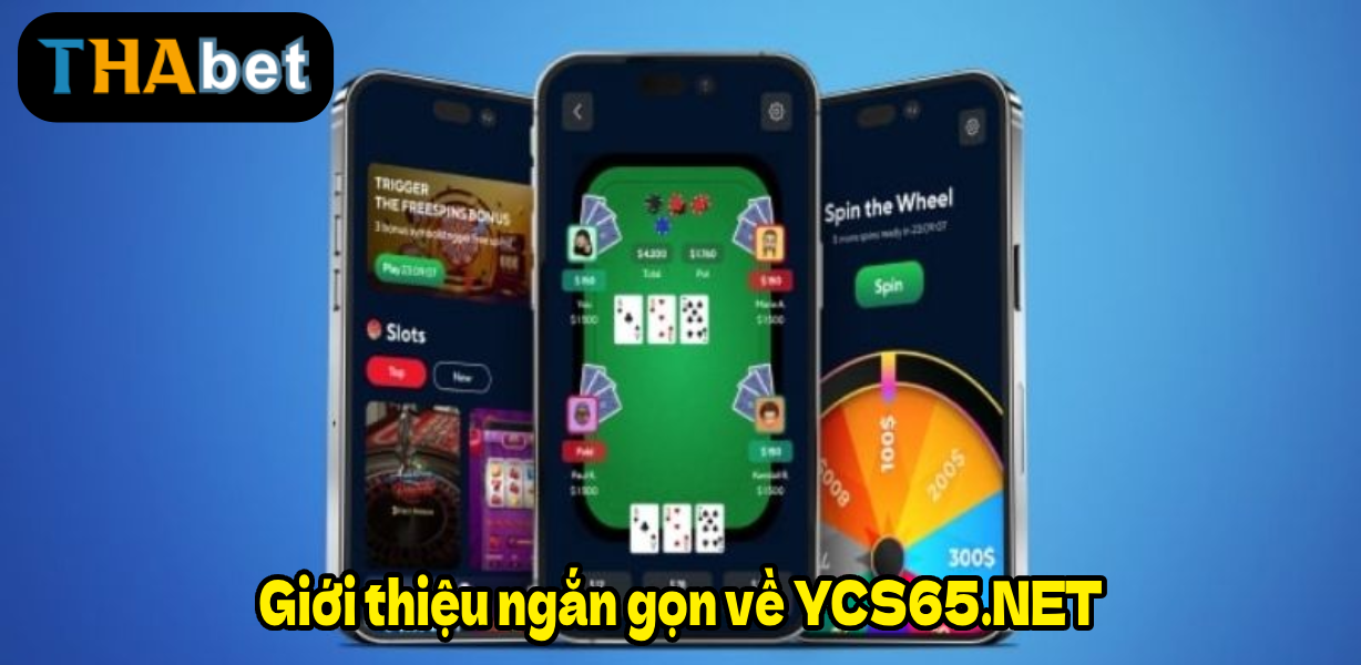 Giới thiệu ngắn gọn về YCS65.NET
