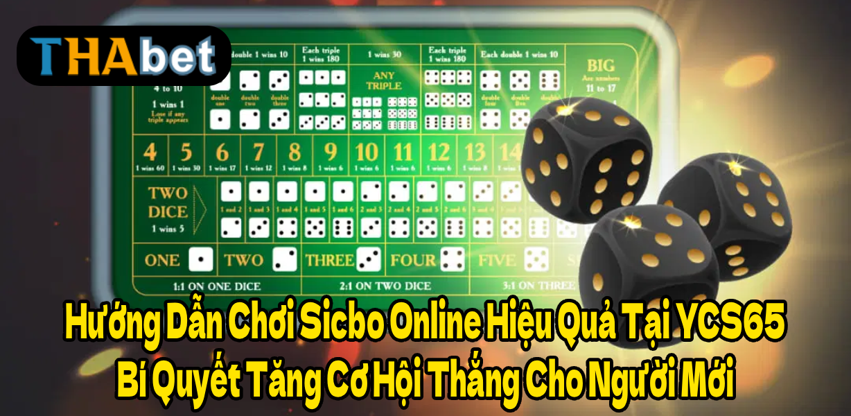 Hướng Dẫn Chơi Sicbo Online Hiệu Quả Tại YCS65 – Bí Quyết Tăng Cơ Hội Thắng Cho Người Mới