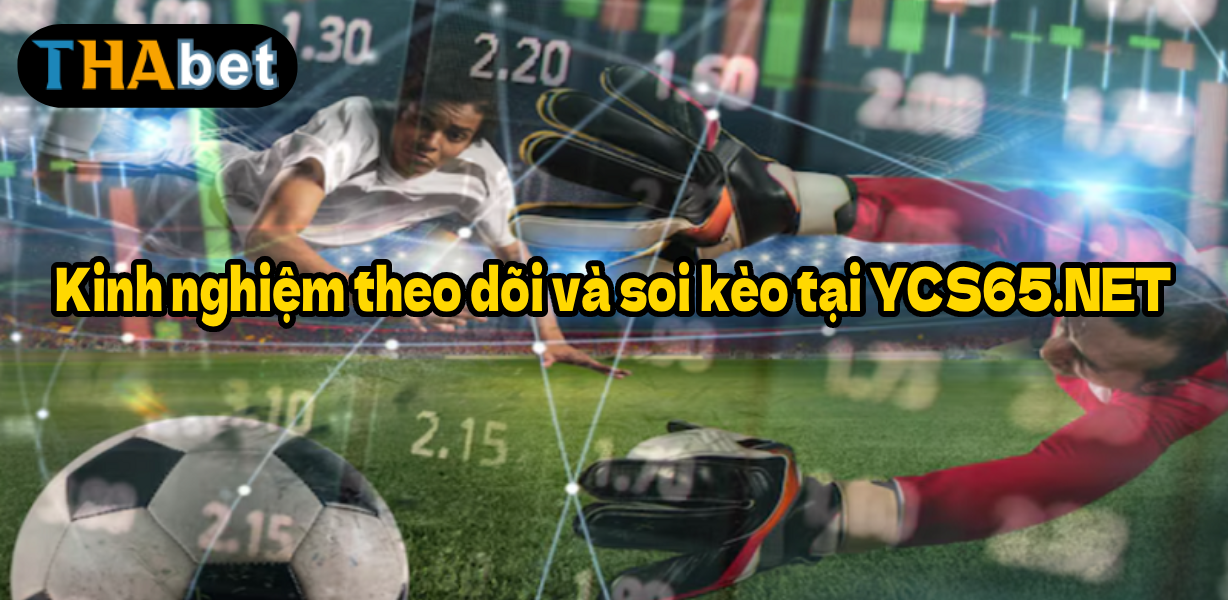Kinh nghiệm theo dõi và soi kèo tại YCS65.NET