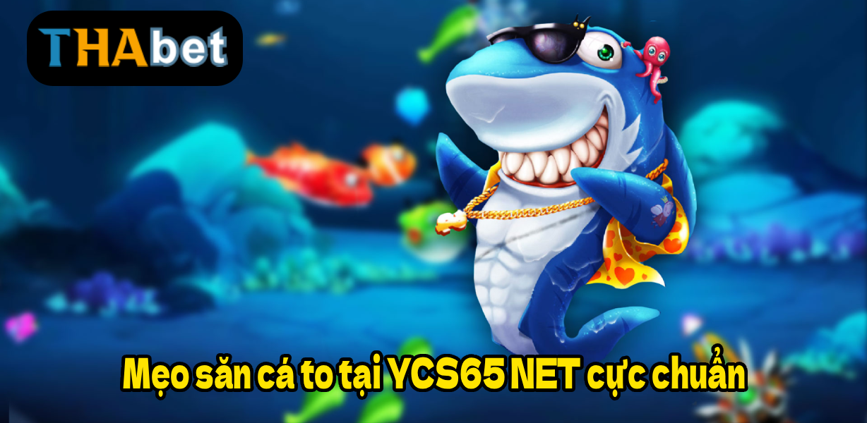 Mẹo săn cá to tại YCS65 NET cực chuẩn