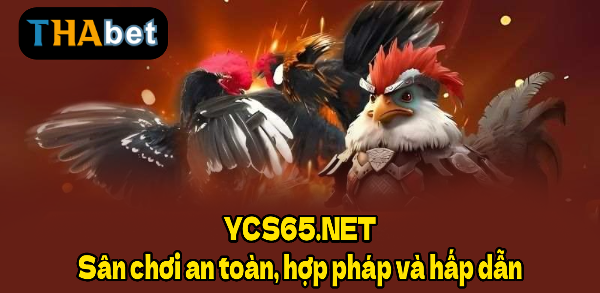 YCS65.NET – Sân chơi an toàn, hợp pháp và hấp dẫn