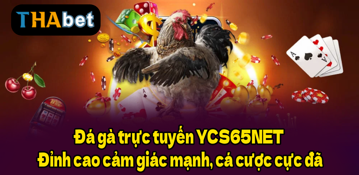 Đá gà trực tuyến YCS65NET – Đỉnh cao cảm giác mạnh, cá cược cực đã