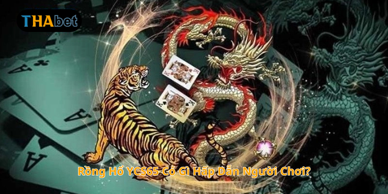 Rồng Hổ YCS65 Có Gì Hấp Dẫn Người Chơi