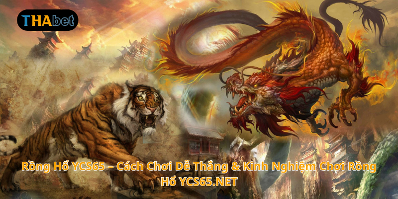 Rồng Hổ YCS65 – Cách Chơi Dễ Thắng & Kinh Nghiệm Chơi Rồng Hổ YCS65.NET