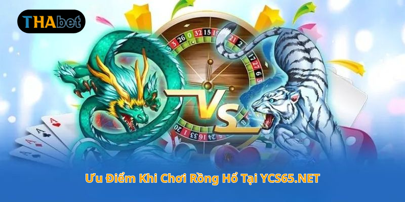 Ưu Điểm Khi Chơi Rồng Hổ Tại YCS65.NET