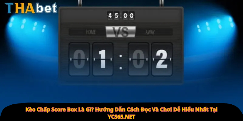 Kèo Chấp Score Box Là Gì? Hướng Dẫn Cách Đọc Và Chơi Dễ Hiểu Nhất Tại YCS65.NET