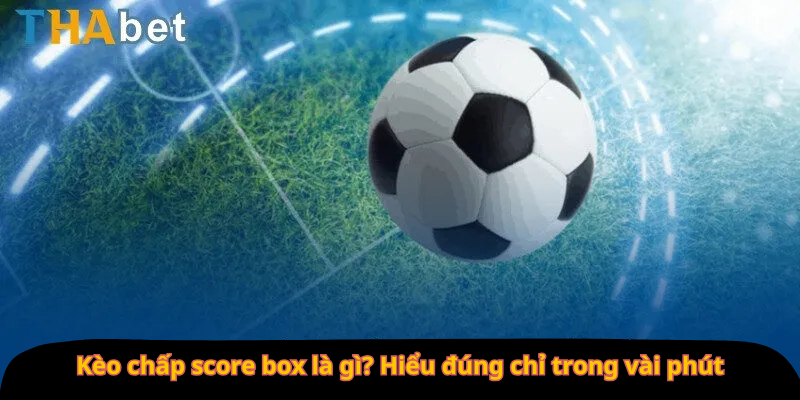 Kèo chấp score box là gì? Hiểu đúng chỉ trong vài phút